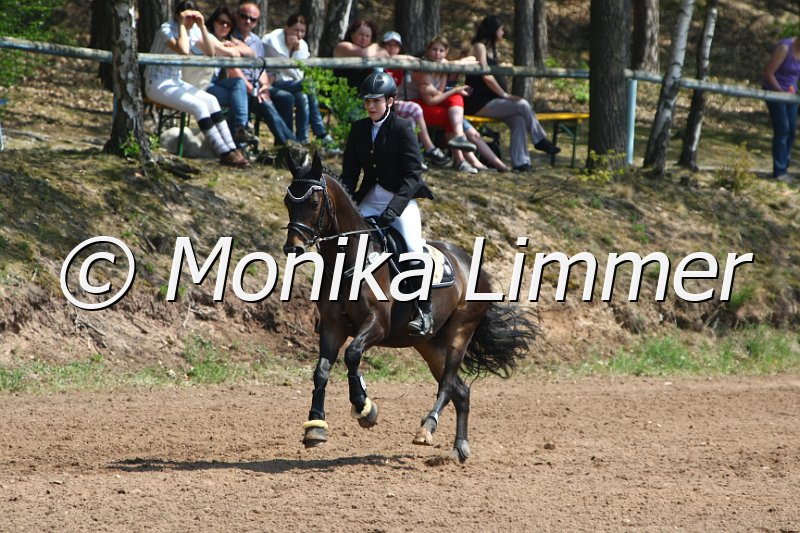 204M2761_Chamerlaine_Spring RWB.JPG